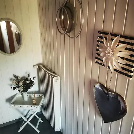 Anni 德根豪塞尔塔尔